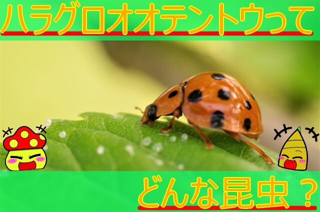 Thumbnail of post image 144